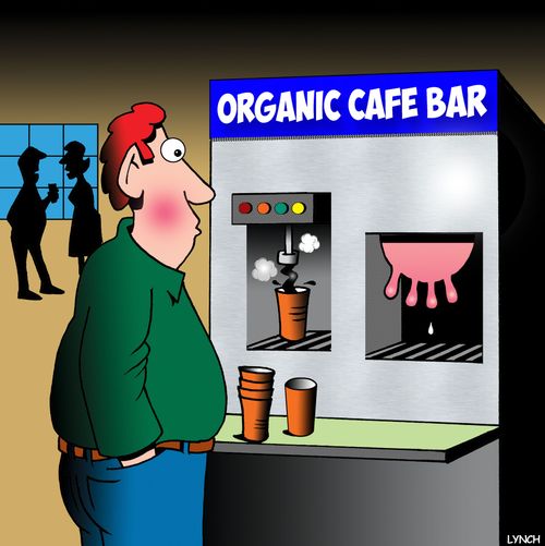Organic Cafe Bar
