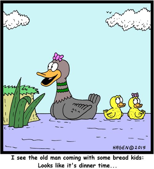 "I see the old man coming with some bread kids: Looks like it's dinner time..."
