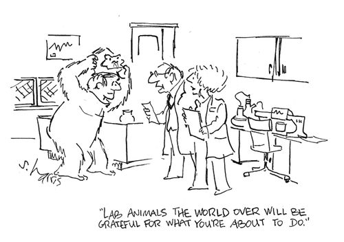 "Lab animals the world over will be grateful for what you're about to do."