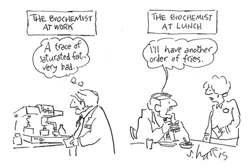 The biochemist at lunch: "I'll have another order of fries."