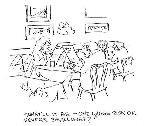 "What'll it be  - one large risk or several small ones?"