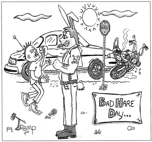 Bad Hare Day