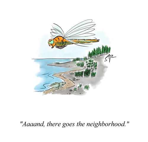 "Aaaaaand, there goes the neighborhood."