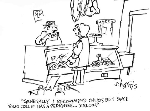 "Generally I recommend chuck, but since your collie has a pedigree...sirloin."
