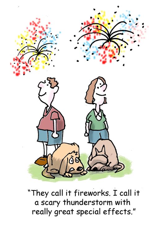 "They call it fireworks. I call it a scary thunderstorm with really great special effects."