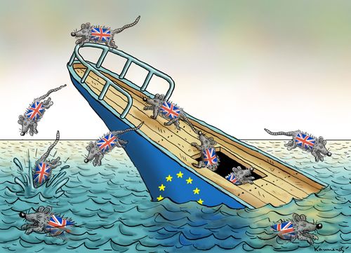 British rats flea the sinking EU