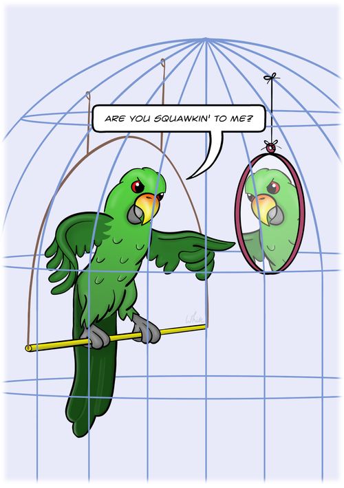"Are you squawkin' to me?"