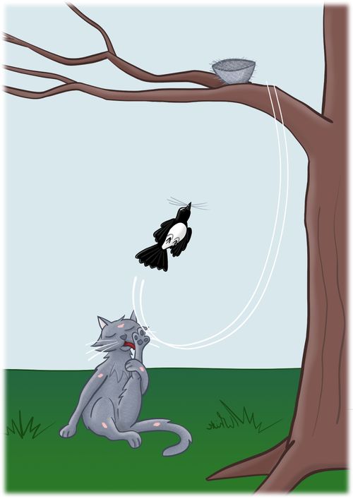 Bird bomb attacking a cat.