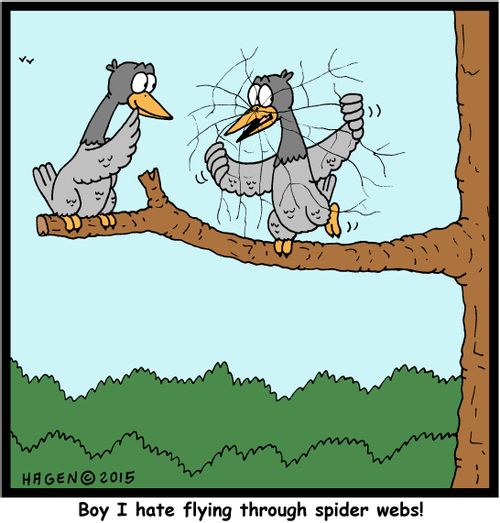 "Boy I hate flying through spider webs!"
