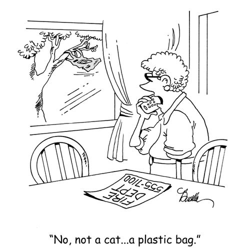 "No, not a cat...a plastic bag."