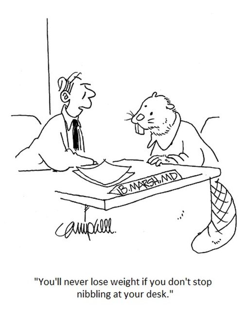 "You'll never lose weight if you don't stop nibbling at your desk."