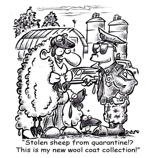 "Stolen sheep from quarantine!? This is my new wool coat collection!"