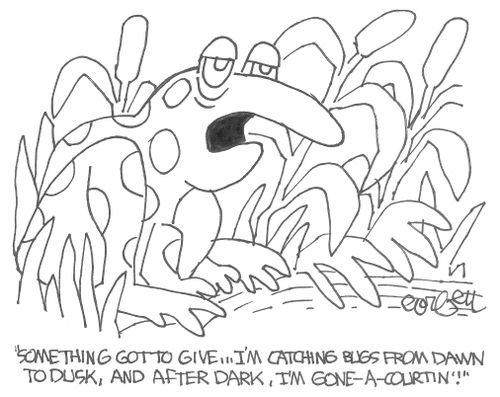 "Something got to give...I'm catching bugs from dawn to dusk, and after dark, I'm gone-a-courtin'!"