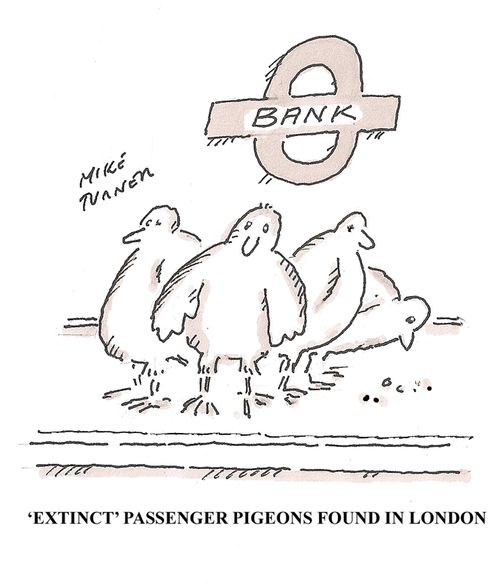 'Extinct' Passenger Pigeons Found in London