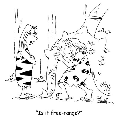 "Is it free-range?"