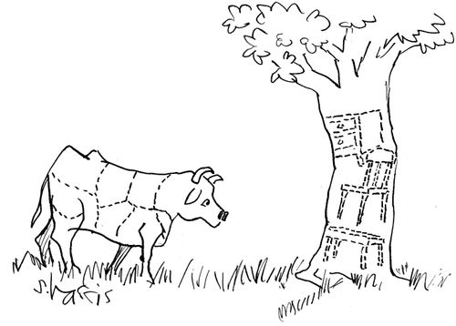 Cow with meat diagrams - tree with furniture diagrams.