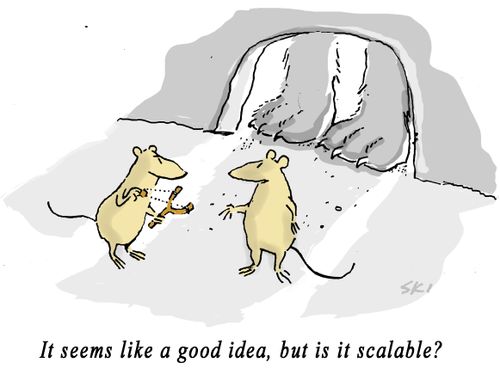 "It seems like a good idea, but is it scalable?"