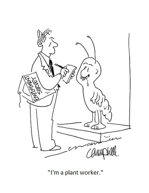 "I'm a plant worker."