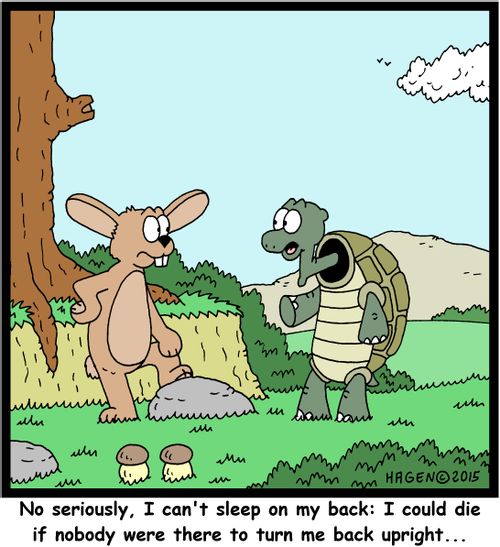 "No seriously, I can't sleep on my back: I could die if nobody were there to turn me back upright..."