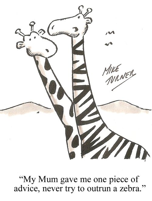 "My mum gave me one piece of advice, never try to outrun a zebra."