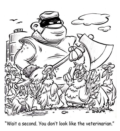 "Wait a second. You don't look like the veterinarian."