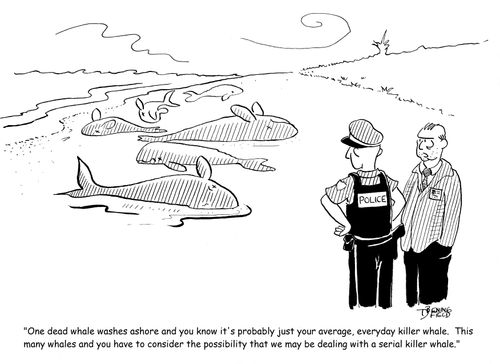 "One dead whale washes ashore and you know it's probably just your average, everyday killer whale..."