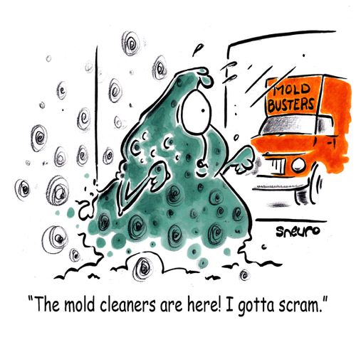 "The mold cleaners are here! I gotta scram."