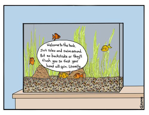 "Welcome to the tank. Just relax and swim around. But no backstroke or they'll flush you so fast your head will spin. Literally."