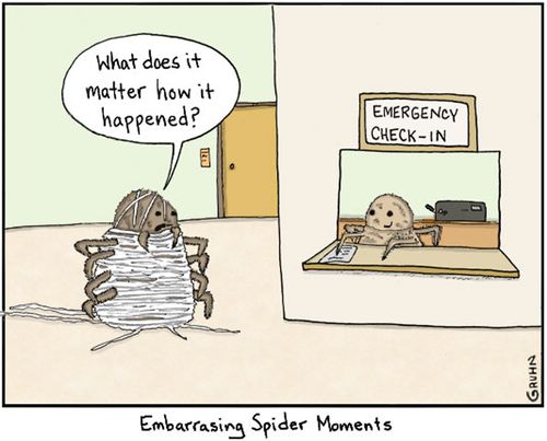 Embarrassing Spider Moments