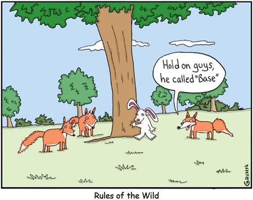 Rules of the Wild