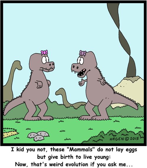 "I kid you not, these "Mammals" do not lay eggs but give birth to live young: Now, that's weird evolution if you ask me..."
