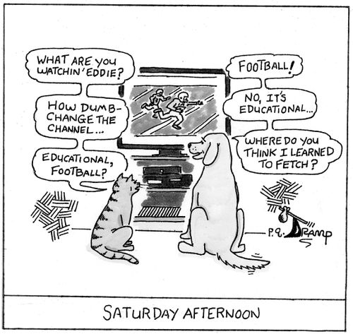 Saturday Afternoon