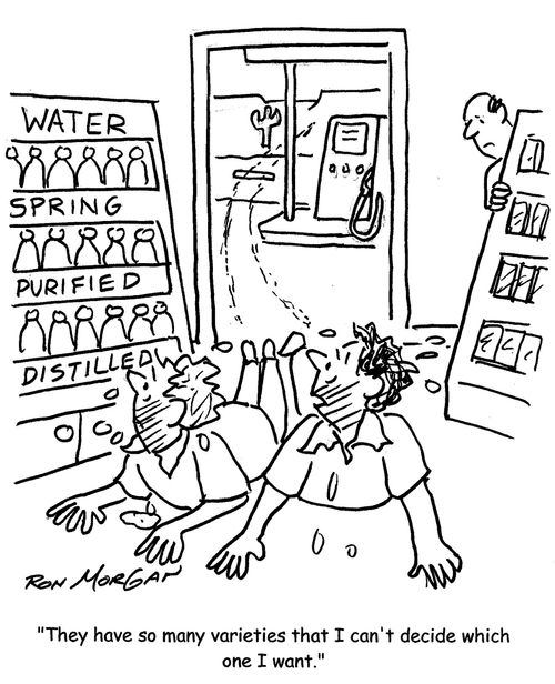 "They have so many varieties that I can't decide which one I want."
