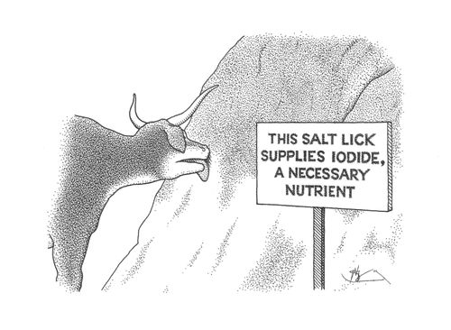 This salt lick supplies iodide, a necessary nutrient.