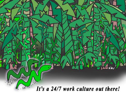 "It's a 24/7 work culture out there!"