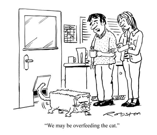"We may be overfeeding the cat."