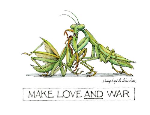 Make love and war