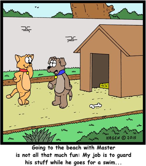 "Going to the beach with Master is not all that much fun: My job is to guard his stuff while he goes for a swim..."