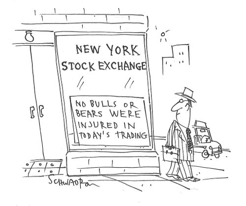 New York Stock Exchange: No Bulls or Bears were injured in today's trading.