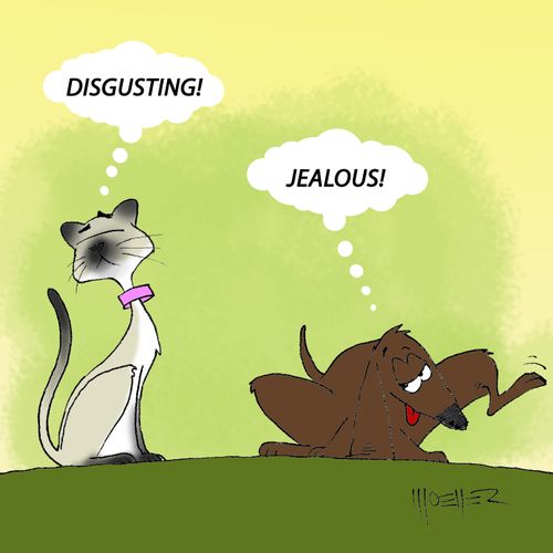 "Jealous!"