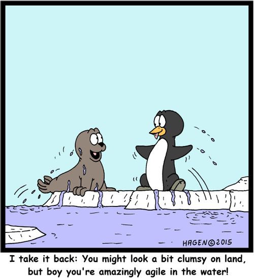 "I take it back: You might look at bit clumsy on land, but boy you're amazingly agile in the water!"