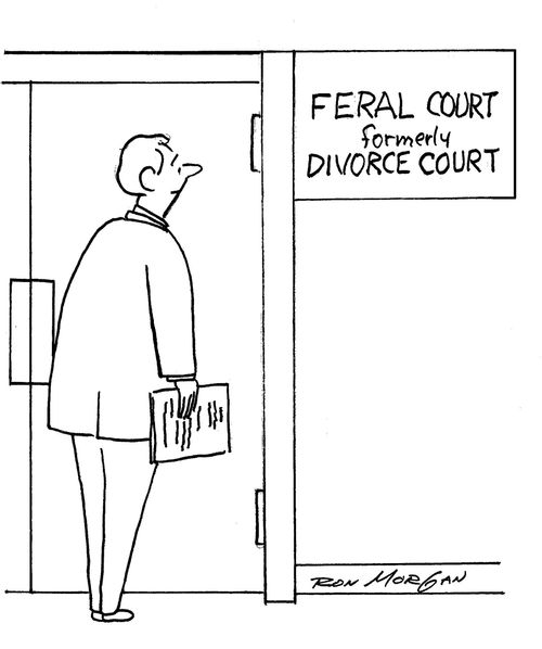 Man arrives at Feral Court, formerly divorce court.
