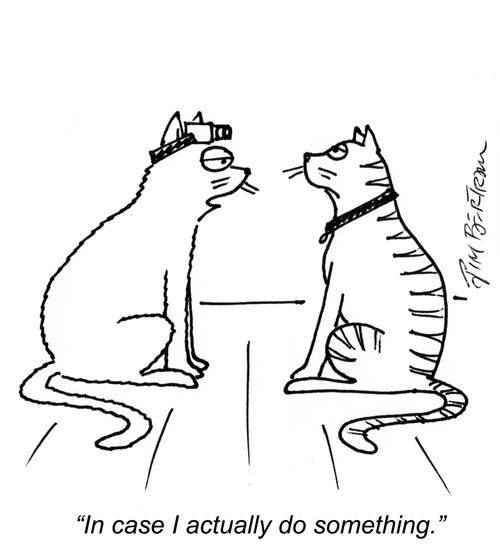 "In case I actually do something."