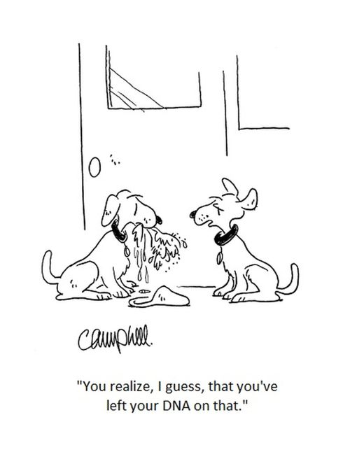 "You realize, I guess, that you've left your DNA on that."