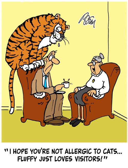 "I hope you're not allergic to cats...Fluffy just loves visitors!"