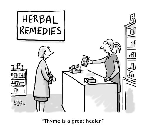 Herbal remedies - "Thyme is a great healer."