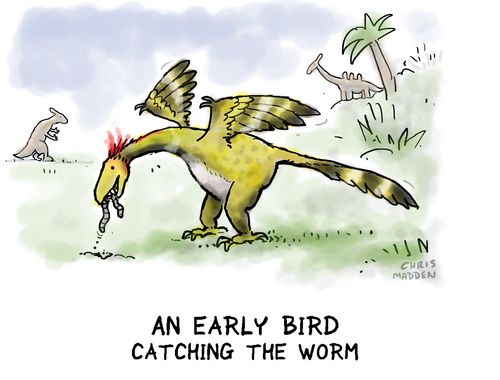 Prehistoric Bird - early bird catching the worm