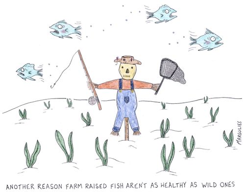Another reason farm raised fish aren't as healthy as wild ones.