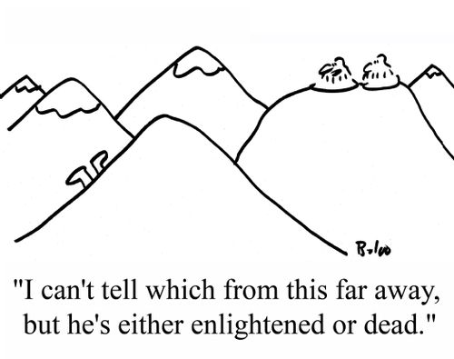 "I can't tell from this far away, but he's either enlightened or dead."