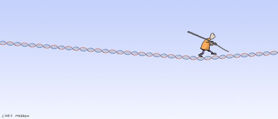 Strand of DNA as a tightrope